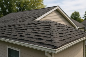 Curling or Buckling Shingles