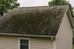 Roof Mold